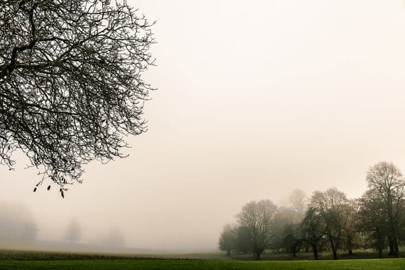 Country Estate Dorset