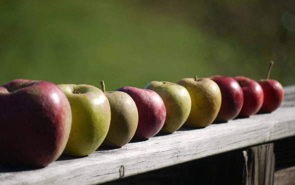 Healthier 2015 Blog