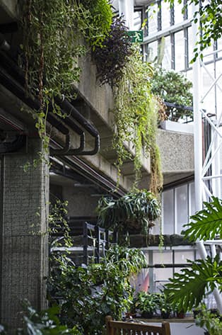 Conservatory At The Barbican blog