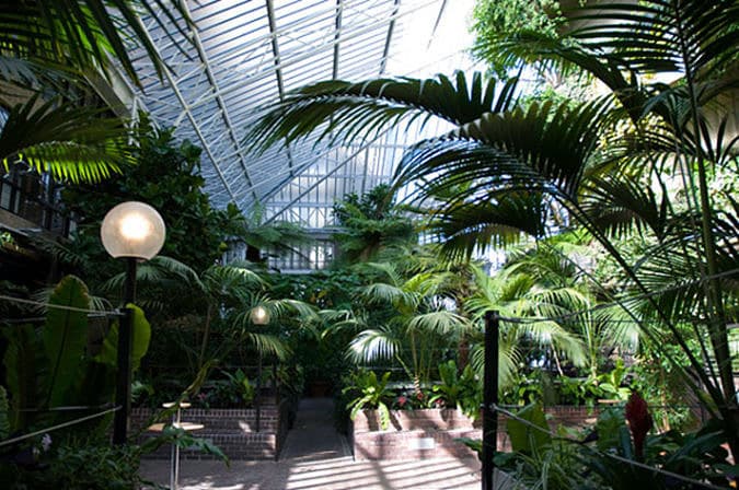 Conservatory At The Barbican blog