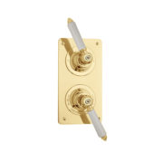The Chessleton Shower Plate Thermo & 2 Way