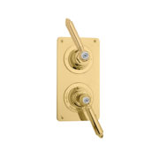 The Chessleton Shower Plate Thermo & 2 Way