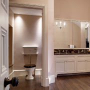The Eden Low Level WC Suite