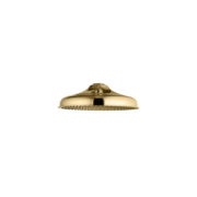 Grand Shower Rose 300mm (12")