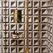 The Grand Hand Shower & Wall Bracket