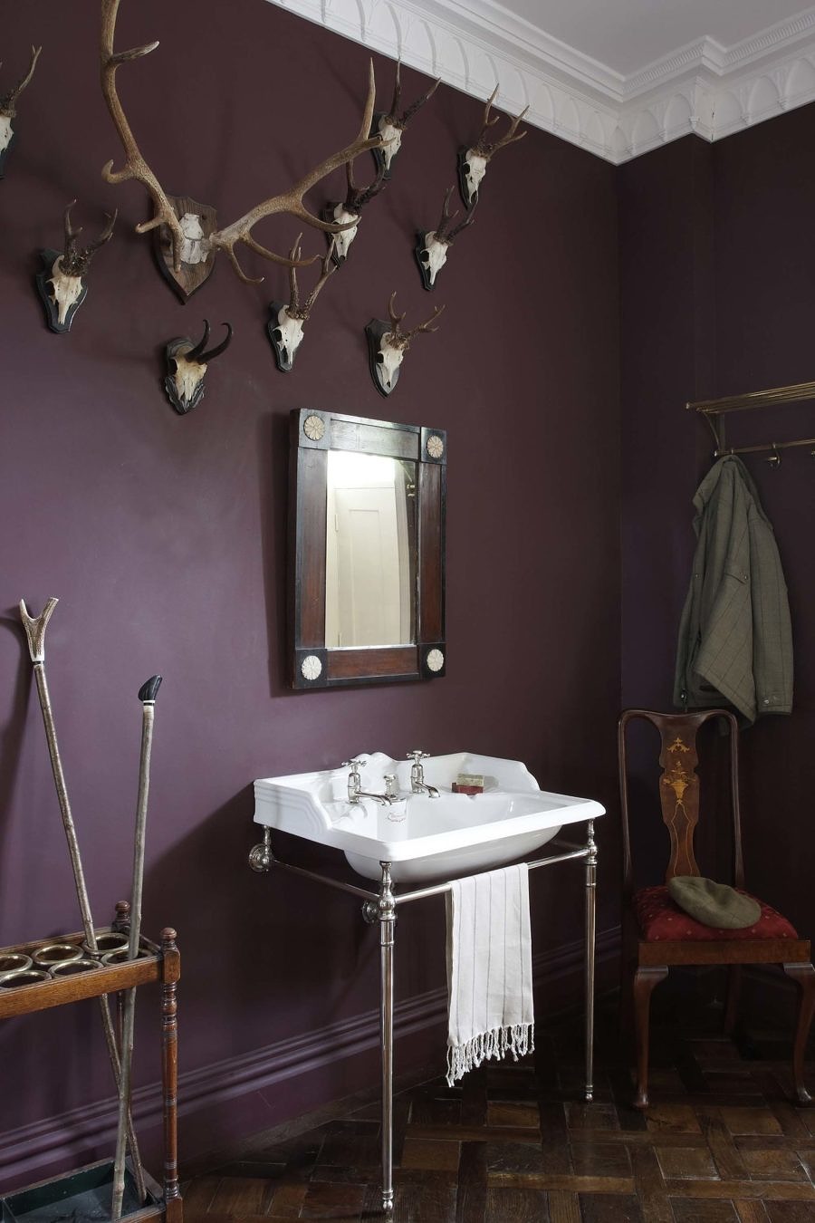 Cloakroom Bathroom Case Study