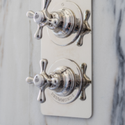 The Mull Classic Shower Plate Thermo & 2 Way