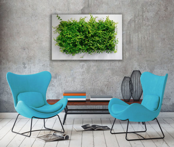 Urban Roof Gardens