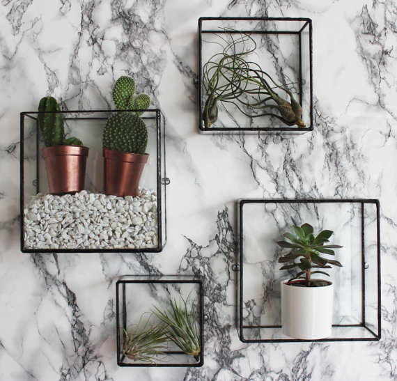 Bathroom Plants inspiration