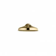 Grand Shower Rose 250mm (10")