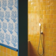 The Grand Hand Shower & Wall Bracket